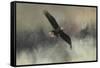 Winter Flight-Jai Johnson-Framed Stretched Canvas