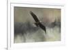 Winter Flight-Jai Johnson-Framed Giclee Print