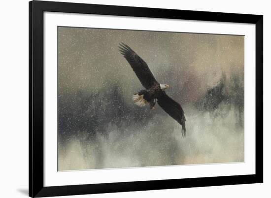Winter Flight-Jai Johnson-Framed Giclee Print