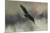 Winter Flight-Jai Johnson-Mounted Giclee Print