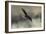 Winter Flight-Jai Johnson-Framed Giclee Print