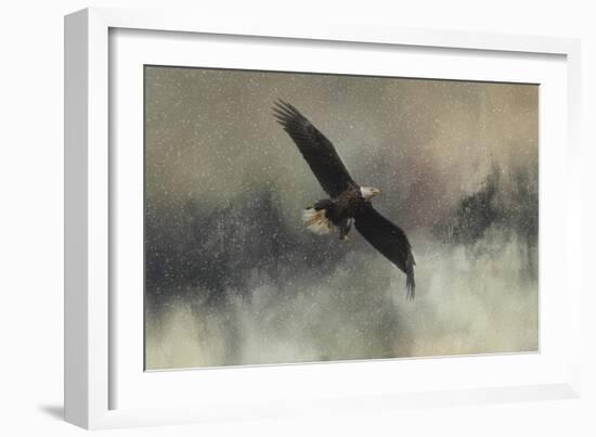 Winter Flight-Jai Johnson-Framed Giclee Print