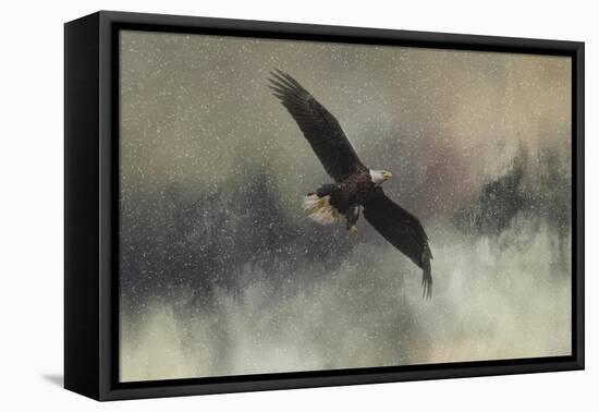 Winter Flight-Jai Johnson-Framed Stretched Canvas