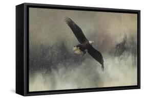 Winter Flight-Jai Johnson-Framed Stretched Canvas