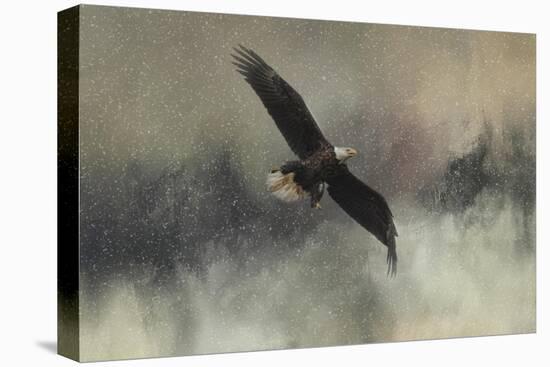 Winter Flight-Jai Johnson-Stretched Canvas