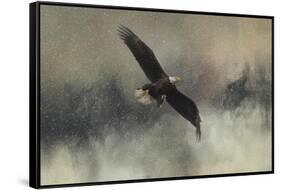 Winter Flight-Jai Johnson-Framed Stretched Canvas