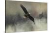 Winter Flight-Jai Johnson-Stretched Canvas