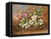 Winter Flora in a Woodland Shade-Albert Williams-Framed Stretched Canvas