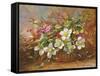 Winter Flora in a Woodland Shade-Albert Williams-Framed Stretched Canvas