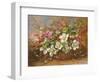 Winter Flora in a Woodland Shade-Albert Williams-Framed Giclee Print