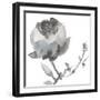 Winter Floral I-Sandra Jacobs-Framed Giclee Print