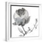 Winter Floral I-Sandra Jacobs-Framed Giclee Print
