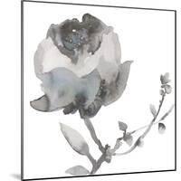 Winter Floral I-Sandra Jacobs-Mounted Giclee Print