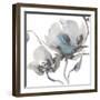 Winter Floral II-Sandra Jacobs-Framed Giclee Print