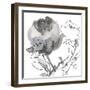 Winter Floral Illustrated I-Sandra Jacobs-Framed Giclee Print