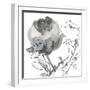 Winter Floral Illustrated I-Sandra Jacobs-Framed Giclee Print