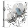 Winter Floral Illustrated II-Sandra Jacobs-Stretched Canvas