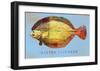 Winter Flounder-John Golden-Framed Art Print