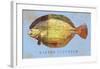 Winter Flounder-John W^ Golden-Framed Art Print