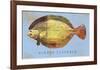 Winter Flounder-John W^ Golden-Framed Art Print