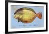 Winter Flounder-John W^ Golden-Framed Art Print