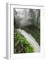 Winter Flow at Cataract Falls, Marin County Waterfall, Bay Area, California-Vincent James-Framed Photographic Print