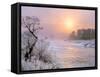 Winter Fog at Sunrise over Gallatin River Near Manhattan, Montana-John Lambing-Framed Stretched Canvas