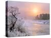 Winter Fog at Sunrise over Gallatin River Near Manhattan, Montana-John Lambing-Stretched Canvas