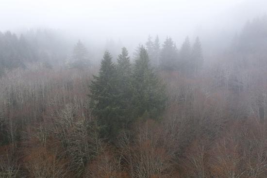Photo, , large