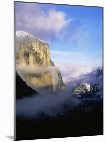 Winter Fog Surrounding El Capitan, Yosemite National Park, California, USA-David Welling-Mounted Photographic Print