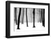 Winter Fog-Kelly Sinclair-Framed Photographic Print