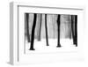 Winter Fog-Kelly Sinclair-Framed Photographic Print