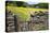 Winter Food for Stock Sign on Gate in Meadow at Muker-Mark Sunderland-Stretched Canvas