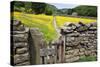 Winter Food for Stock Sign on Gate in Meadow at Muker-Mark Sunderland-Stretched Canvas