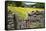 Winter Food for Stock Sign on Gate in Meadow at Muker-Mark Sunderland-Framed Stretched Canvas