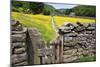 Winter Food for Stock Sign on Gate in Meadow at Muker-Mark Sunderland-Mounted Photographic Print
