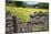 Winter Food for Stock Sign on Gate in Meadow at Muker-Mark Sunderland-Mounted Photographic Print