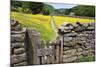 Winter Food for Stock Sign on Gate in Meadow at Muker-Mark Sunderland-Mounted Photographic Print