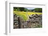 Winter Food for Stock Sign on Gate in Meadow at Muker-Mark Sunderland-Framed Photographic Print