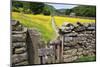 Winter Food for Stock Sign on Gate in Meadow at Muker-Mark Sunderland-Mounted Photographic Print