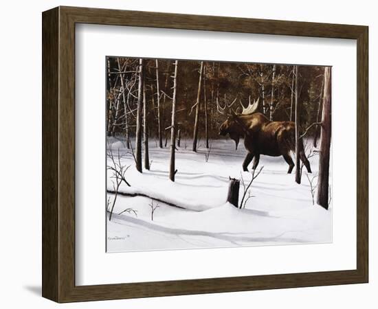 Winter Forage-Kevin Daniel-Framed Art Print