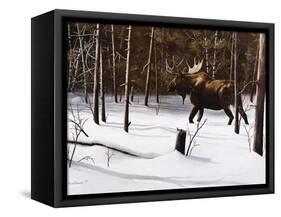 Winter Forage-Kevin Daniel-Framed Stretched Canvas