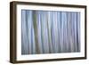 Winter Forest Abstract I-Kathy Mahan-Framed Photographic Print