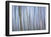 Winter Forest Abstract I-Kathy Mahan-Framed Photographic Print