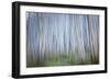 Winter Forest Abstract II-Kathy Mahan-Framed Photographic Print