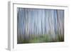 Winter Forest Abstract II-Kathy Mahan-Framed Photographic Print