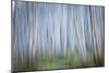 Winter Forest Abstract II-Kathy Mahan-Mounted Photographic Print