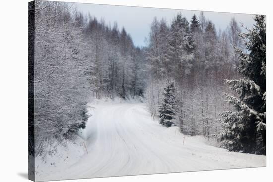 Winter Forest and A Snow Road-nblx-Stretched Canvas