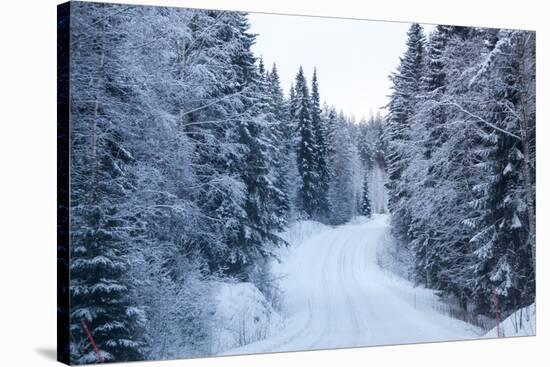 Winter Forest and A Snow Road-nblx-Stretched Canvas