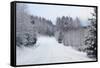 Winter Forest and A Snow Road-nblx-Framed Stretched Canvas